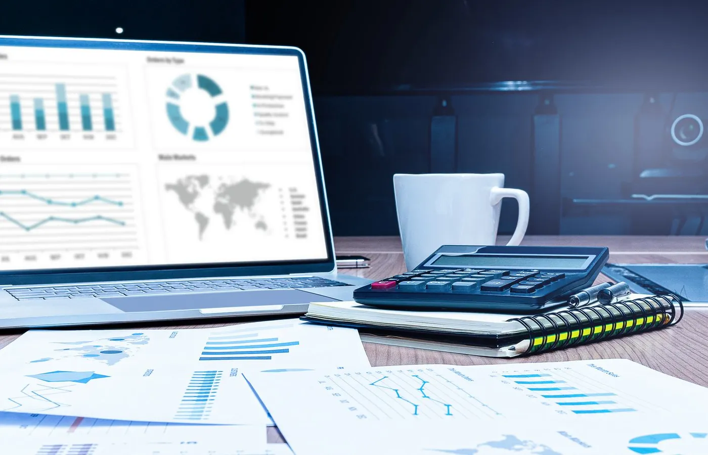 Accounting records and financial review workspace