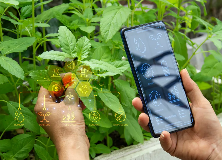 AI smart-farming crop monitoring, representing image-based pest and disease detection from smartphone photos