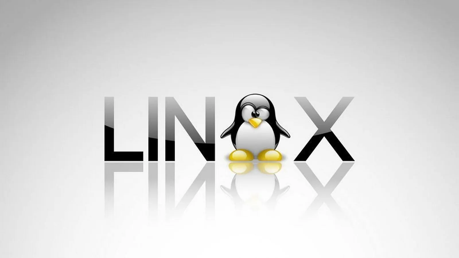 Linux wordmark and Tux penguin representing Linux operations